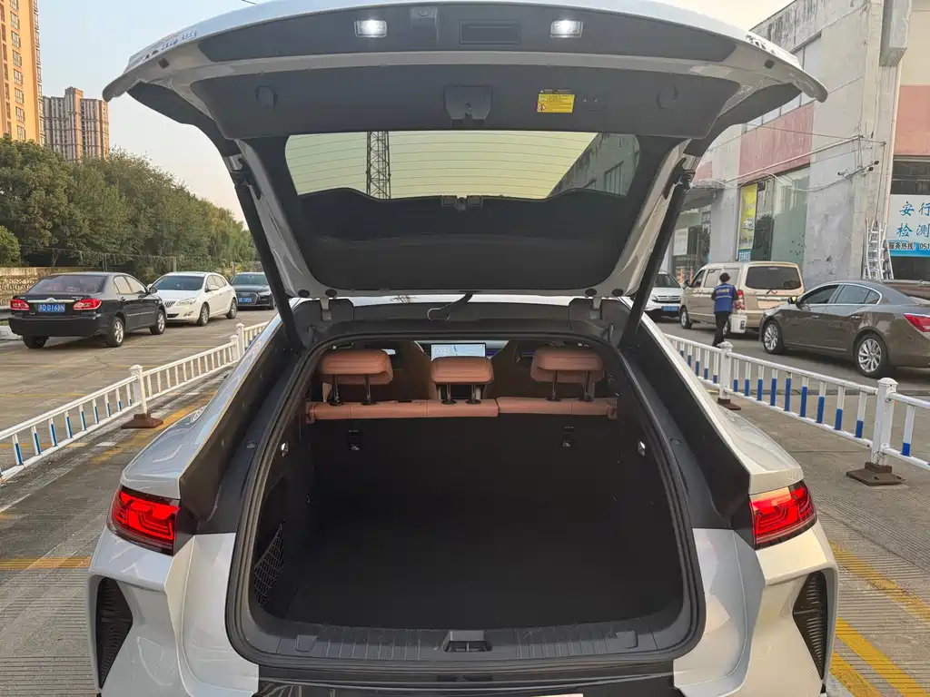 BYD L EV — миниатюра 13