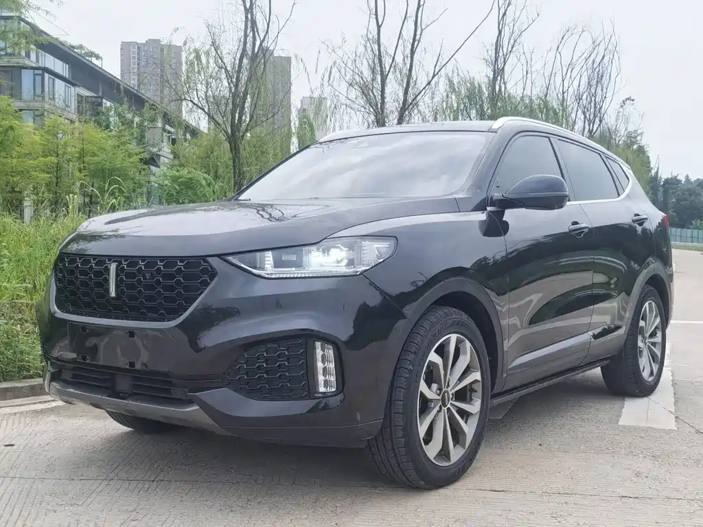 Wey Wey VV6