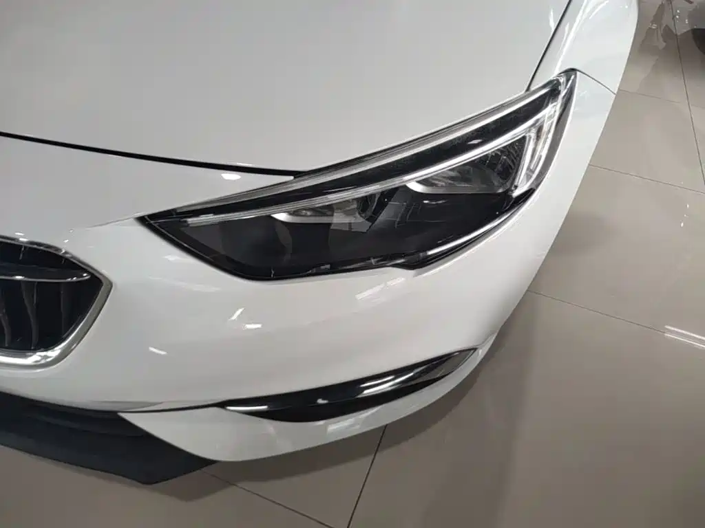 Buick Regal — миниатюра 18
