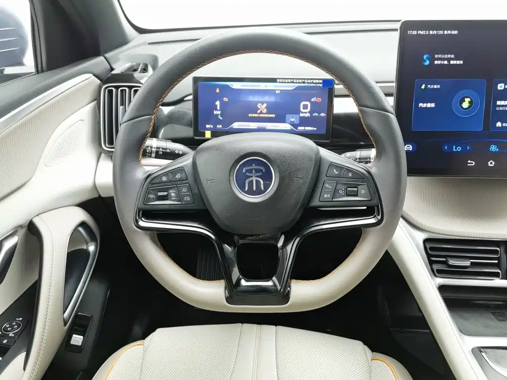 BYD Pro New Energy — миниатюра 11
