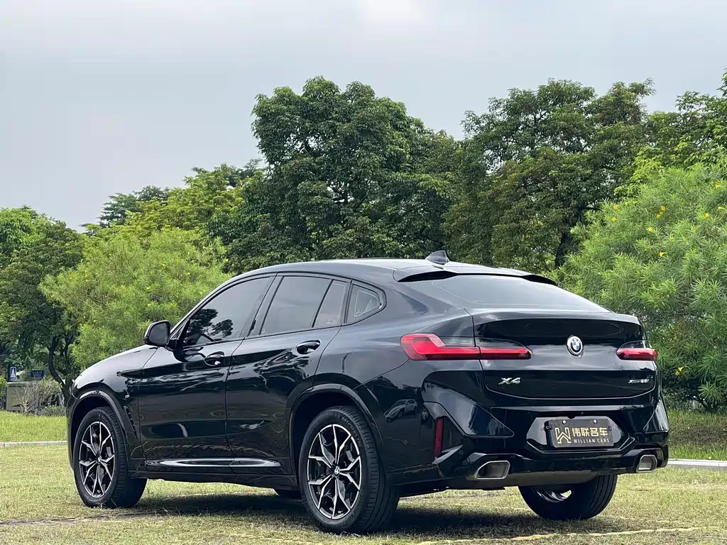 BMW X4 — миниатюра 4