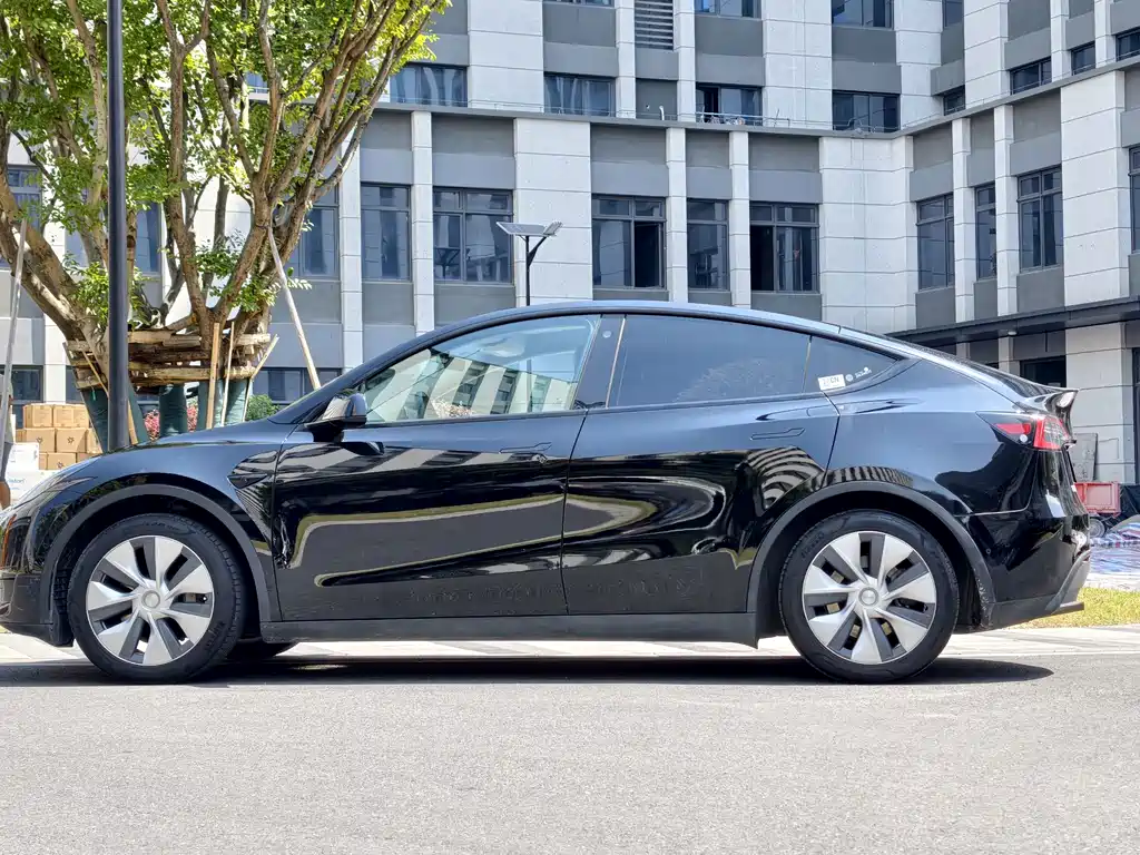 Tesla Model Y — миниатюра 2