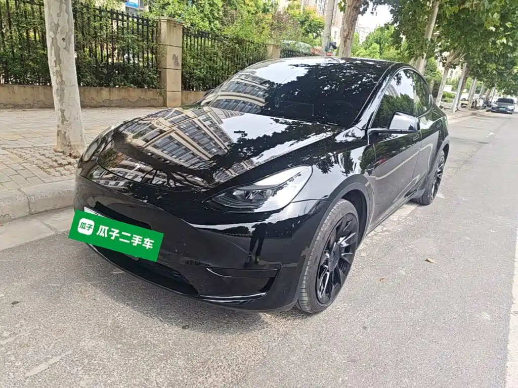 Tesla Model Y — миниатюра 2