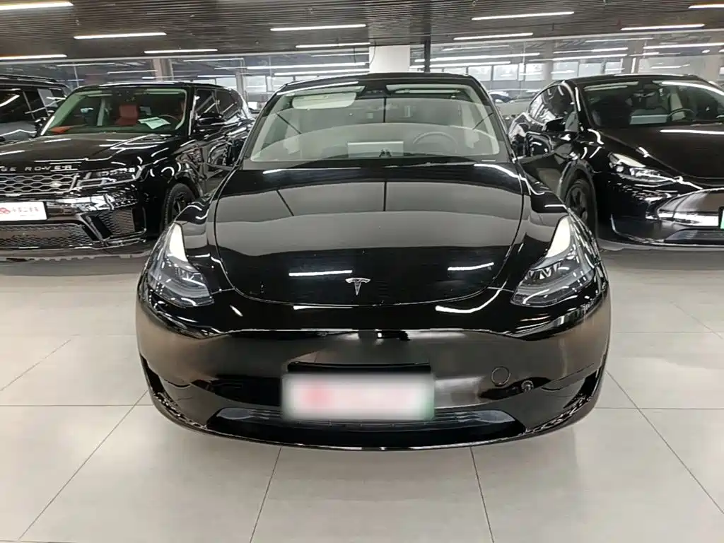 Tesla Model Y — миниатюра 3