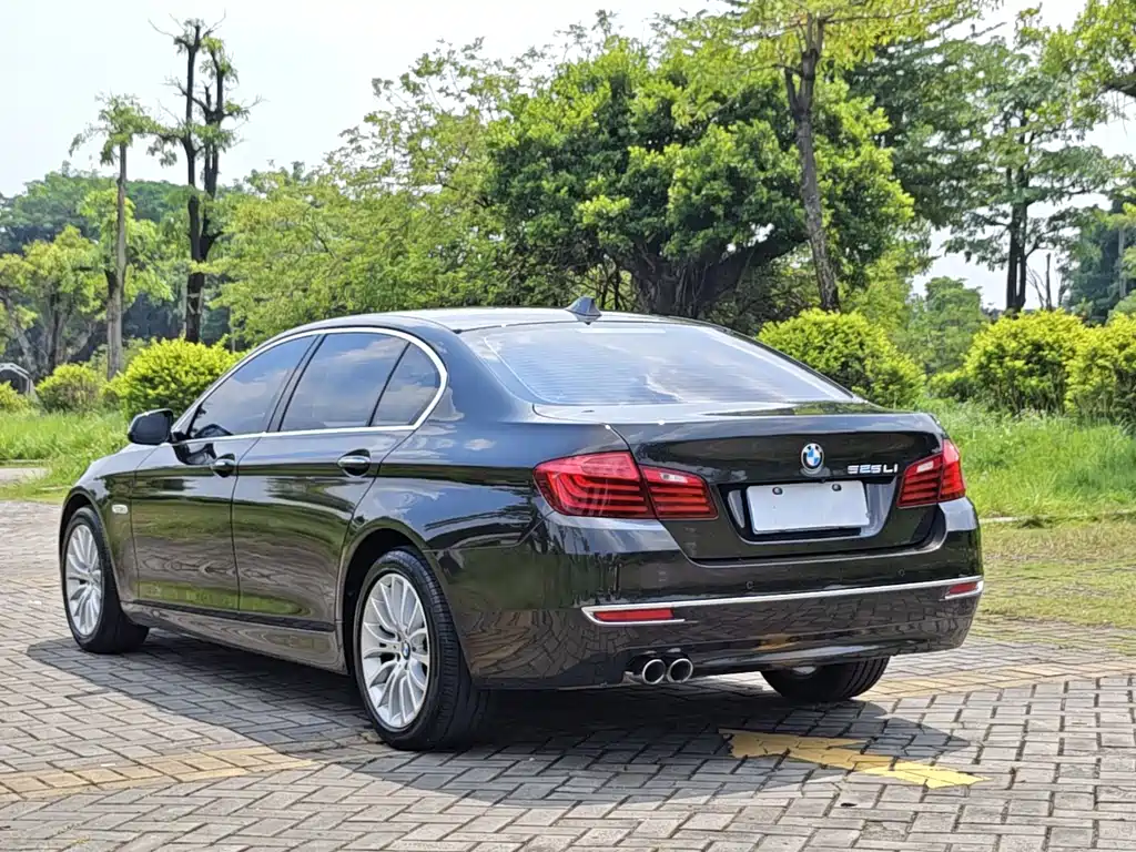 BMW 5 Series — миниатюра 3