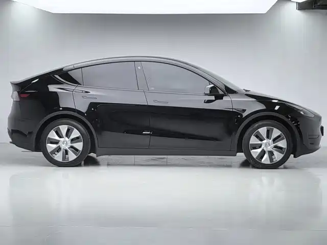 Tesla Model Y — миниатюра 7