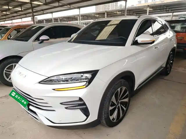 BYD SONGJIANG NEW ENERGY 2024