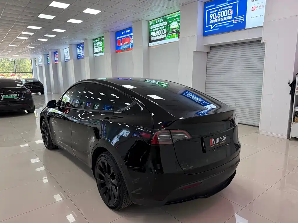 Tesla Model Y — миниатюра 4