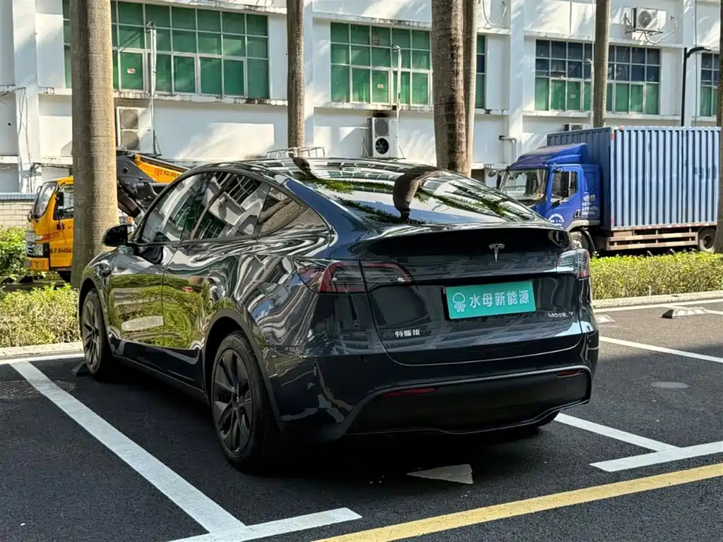 Tesla Model Y — миниатюра 6