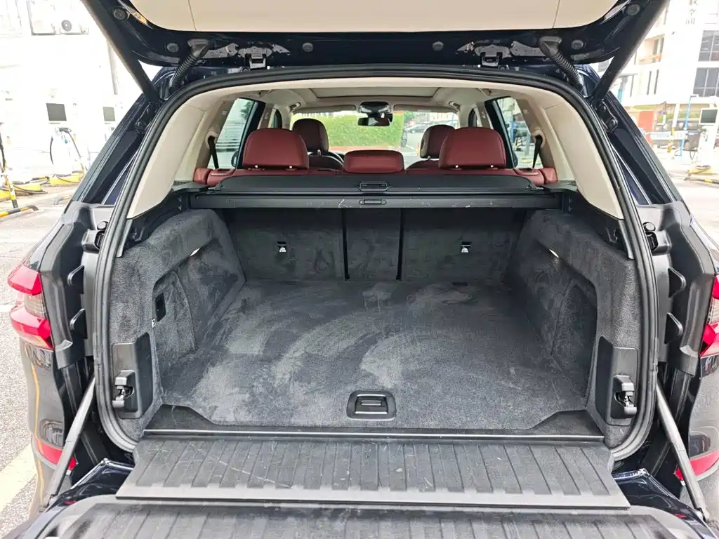 BMW X5 — миниатюра 28