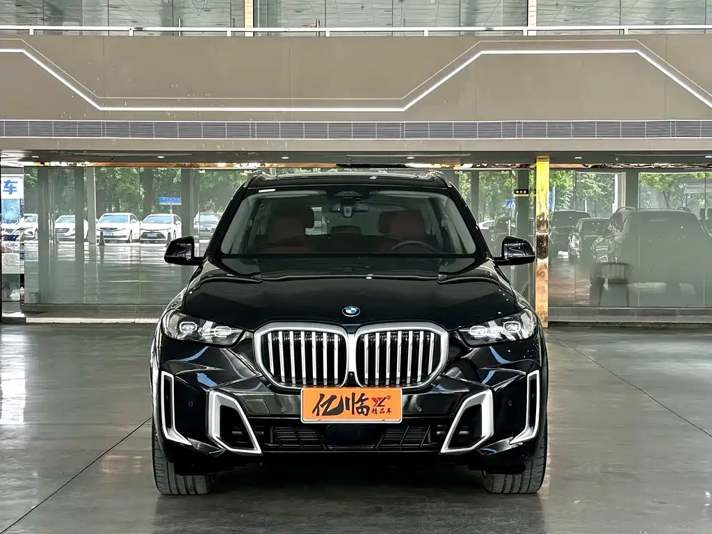 BMW X5 — миниатюра 2
