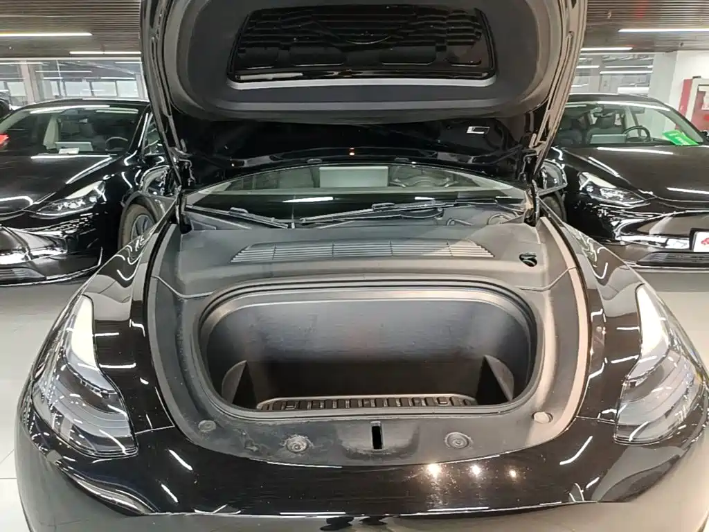 Tesla Model Y — миниатюра 20