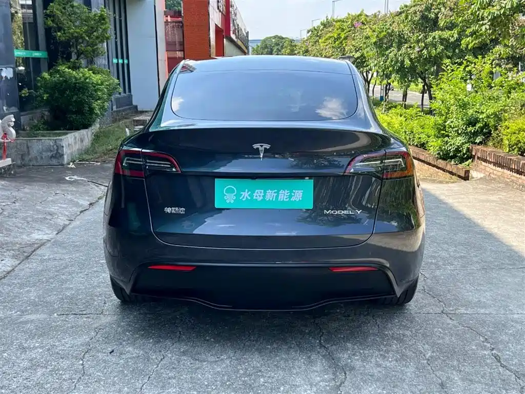 Tesla Model Y — миниатюра 7