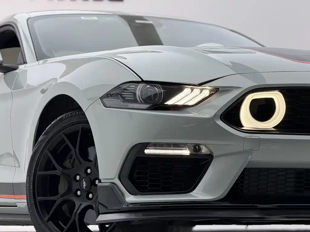 Ford Mustang — миниатюра 16