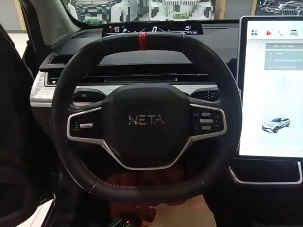 Neta Neta V — миниатюра 11