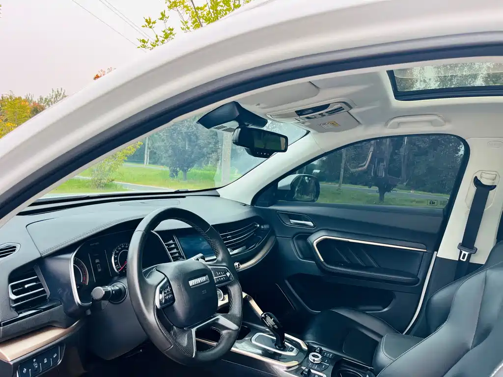 Haval H6 — миниатюра 8