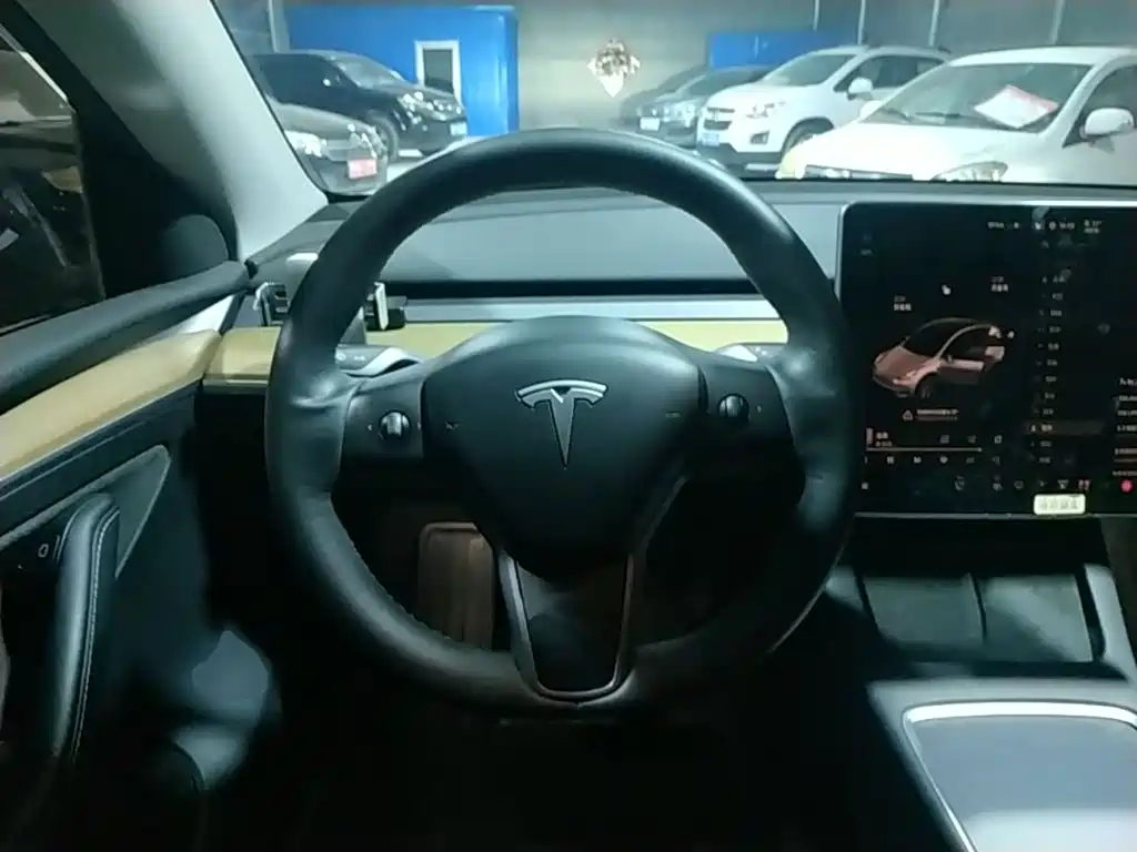 Tesla Model Y — миниатюра 11
