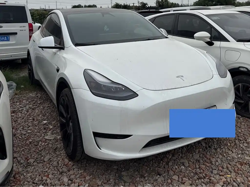 Tesla Model Y — миниатюра 3