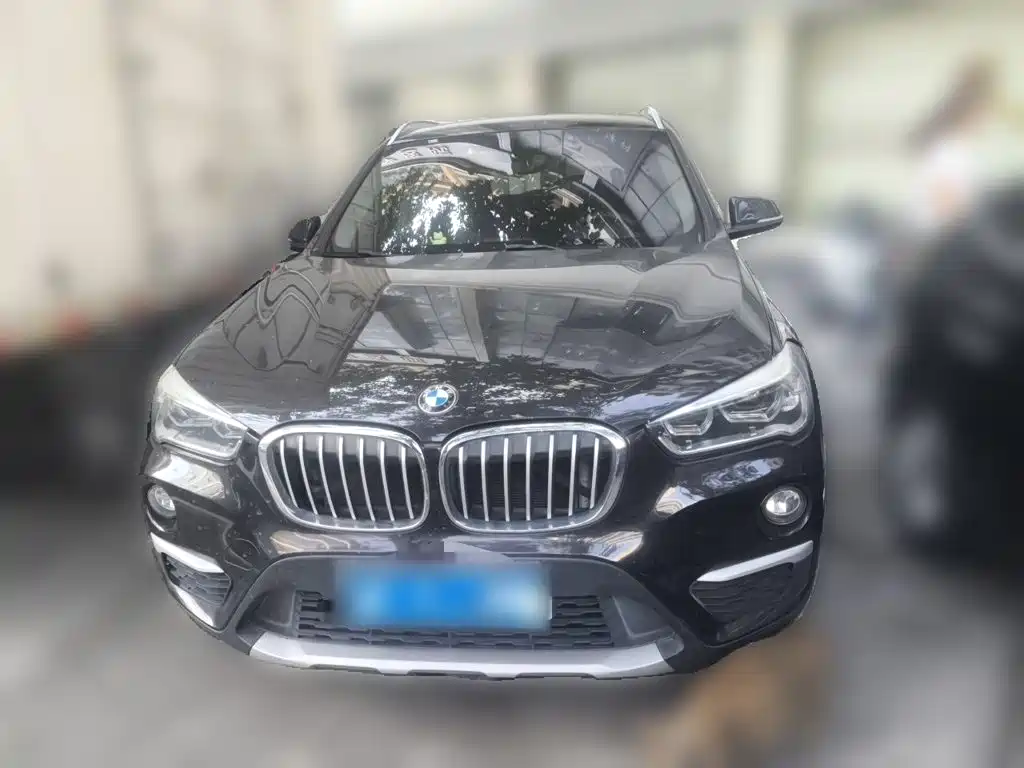 BMW X1 — миниатюра 2