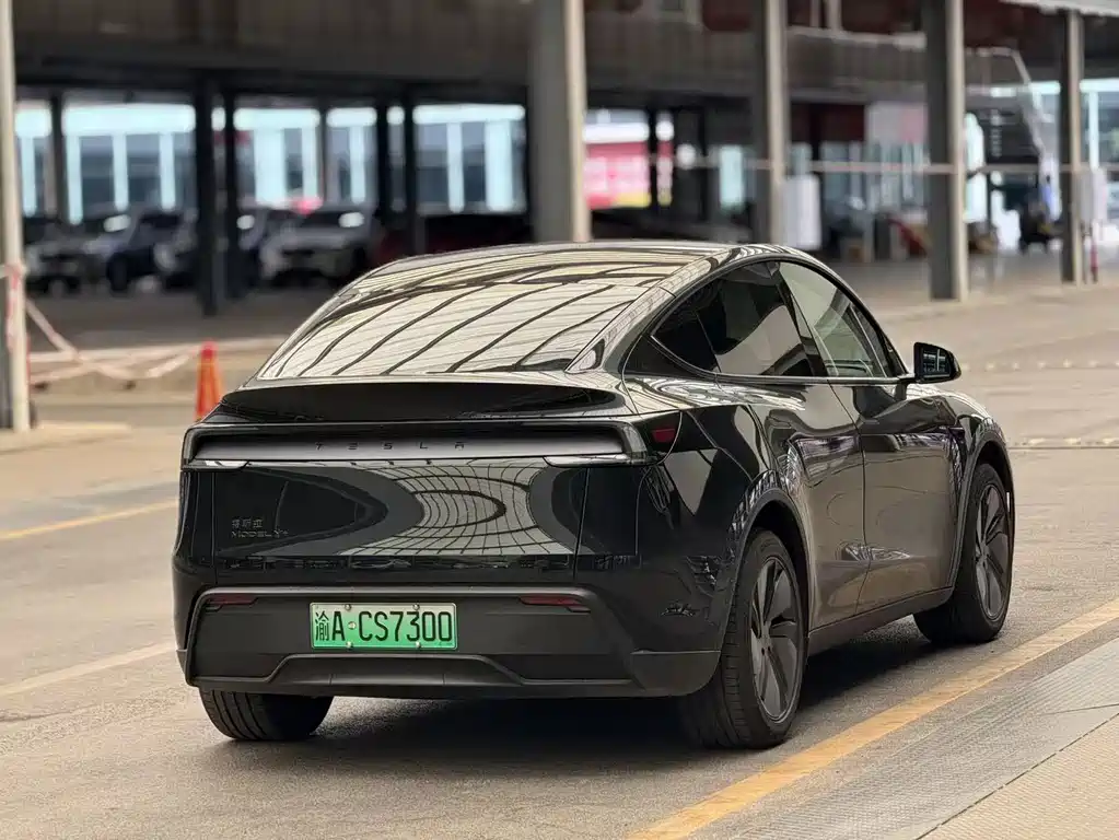 Tesla Model Y — миниатюра 9