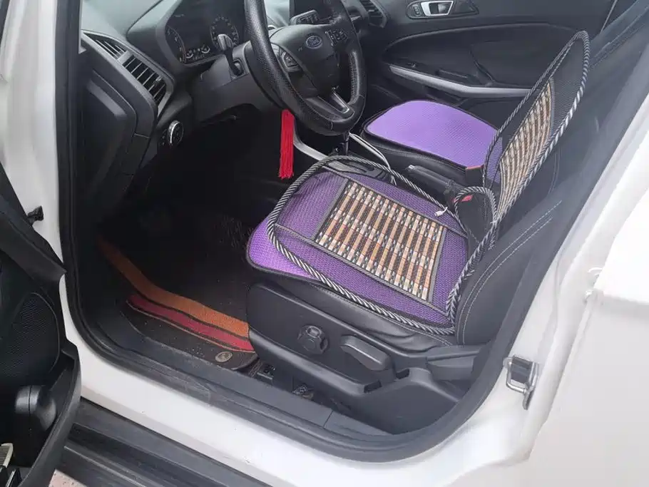 Ford Ecosport — миниатюра 9