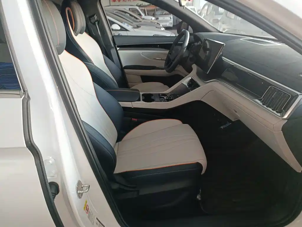 BYD PLUS New Energy — миниатюра 25