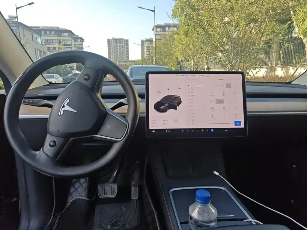 Tesla Model Y — миниатюра 13