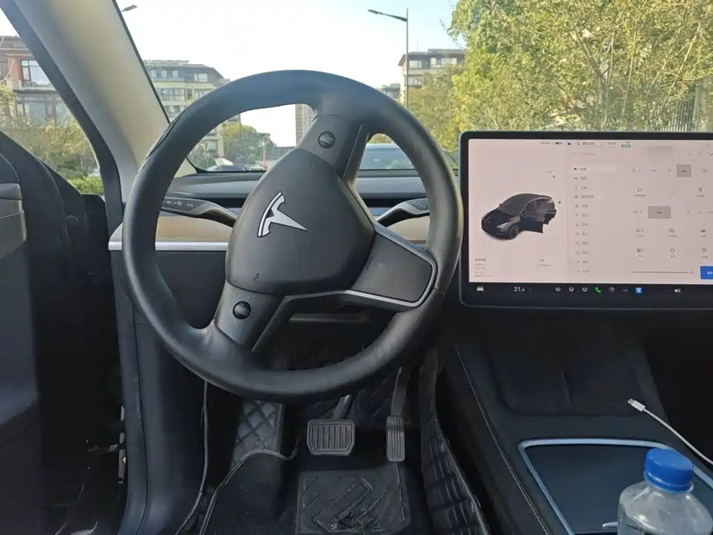 Tesla Model Y — миниатюра 3