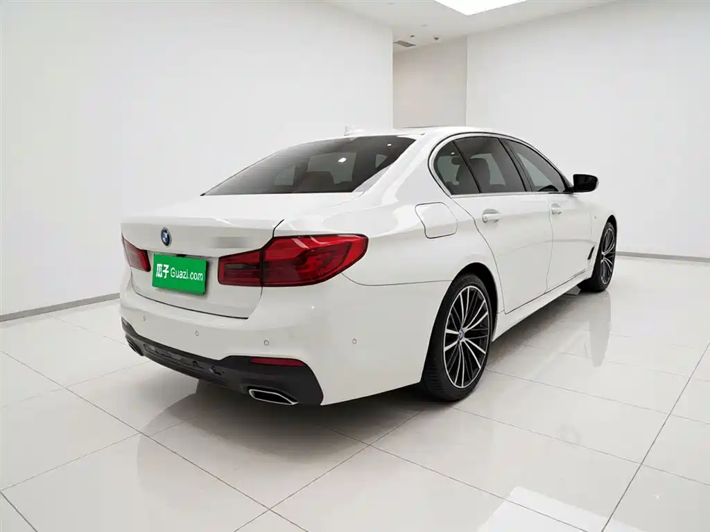 BMW 5 Series 5 2020 530Li Premium M Sport