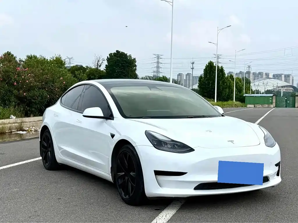 Tesla Model 3 — миниатюра 2