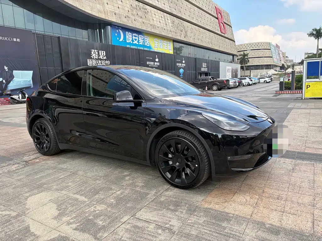 Tesla Model Y — миниатюра 3