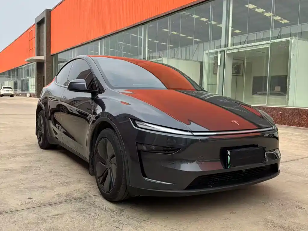 Tesla Model Y — миниатюра 3
