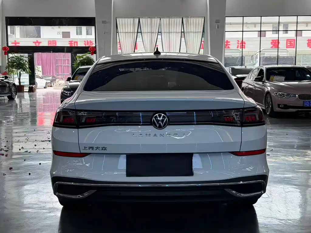 Volkswagen Lamando — миниатюра 9