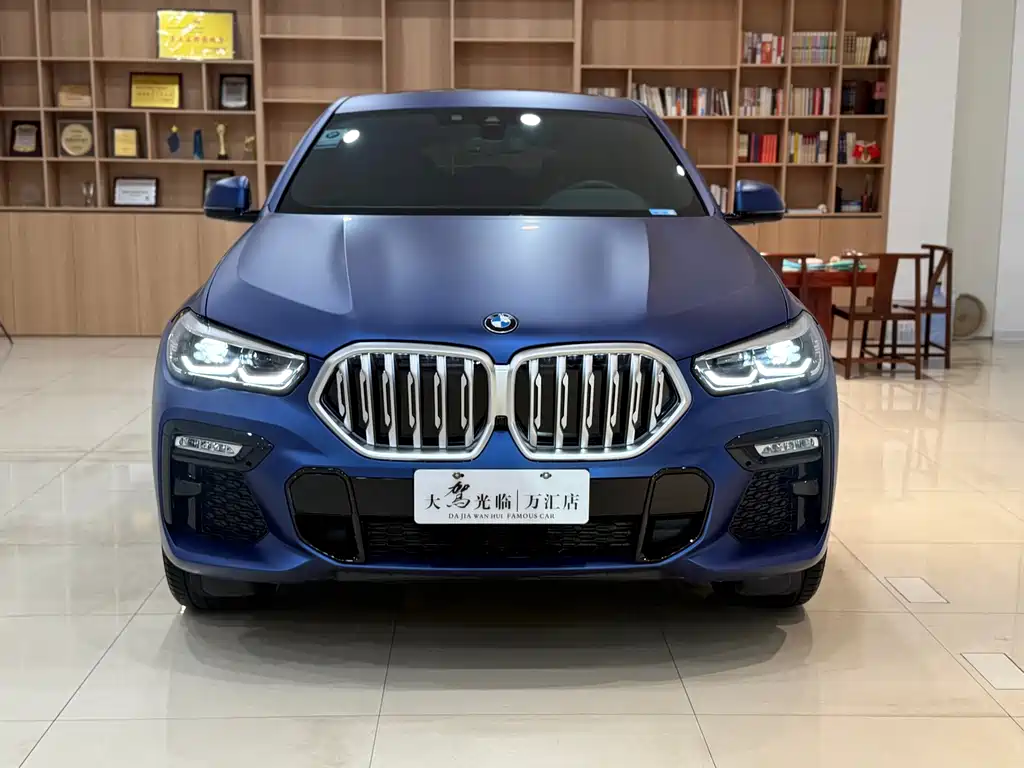 BMW X6 — миниатюра 4