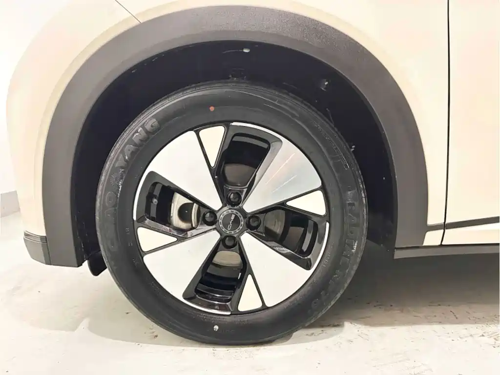 BYD Dolphin — миниатюра 15