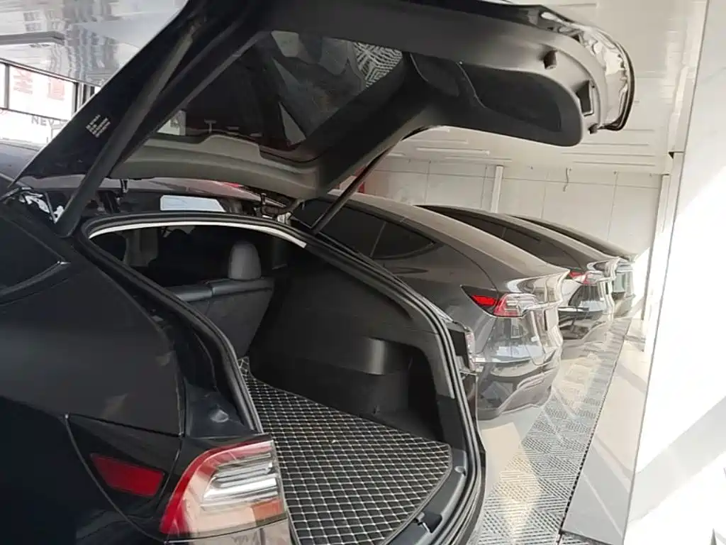 Tesla Model Y — миниатюра 19