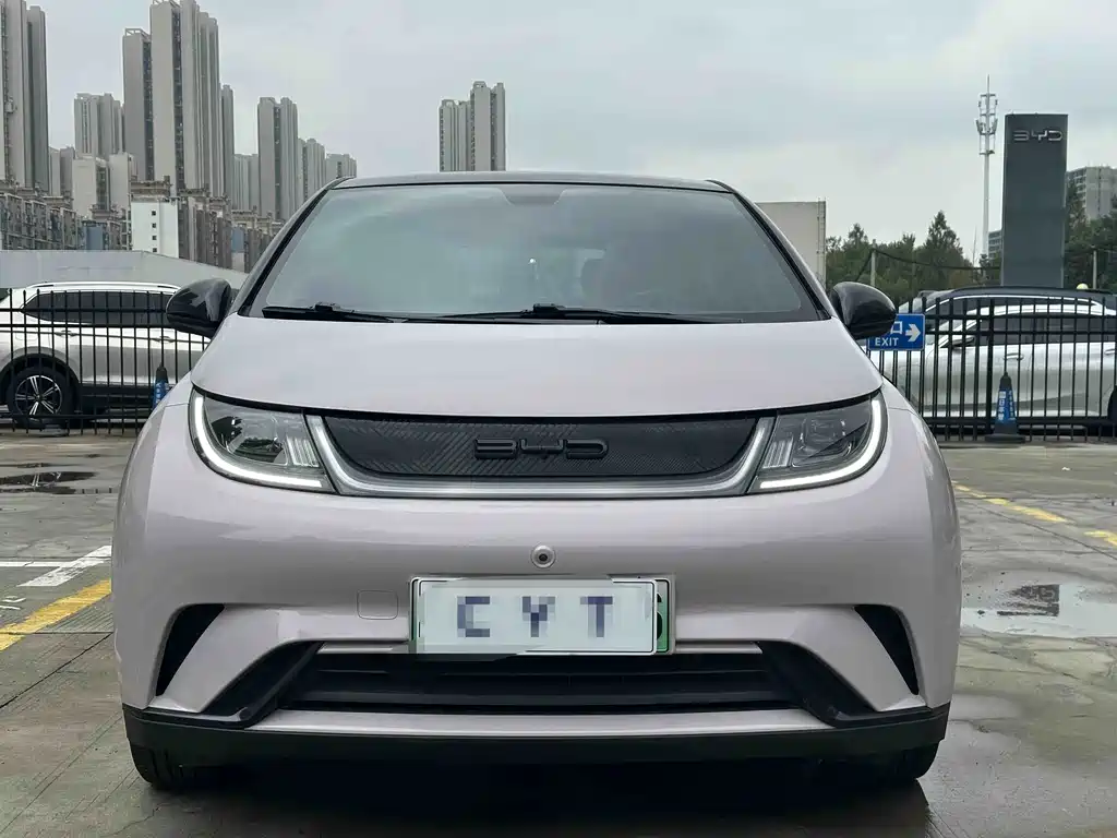 BYD Dolphin — миниатюра 2