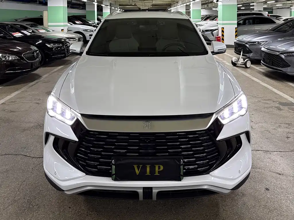 BYD Pro New Energy — миниатюра 2