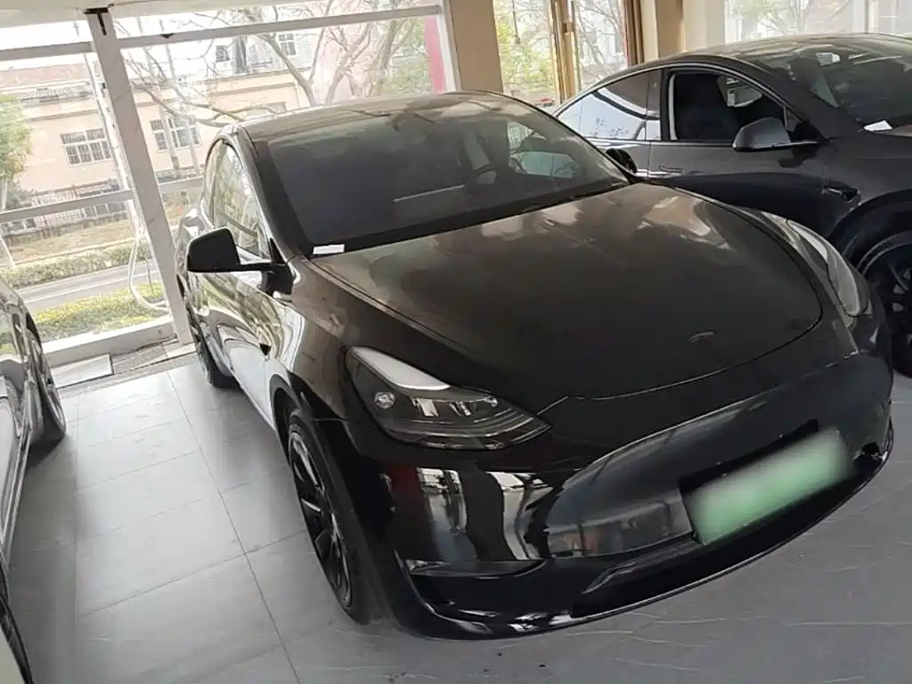 Tesla Model Y — миниатюра 4