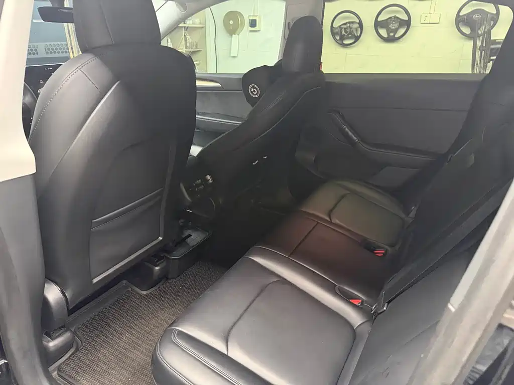 Tesla Model Y — миниатюра 6