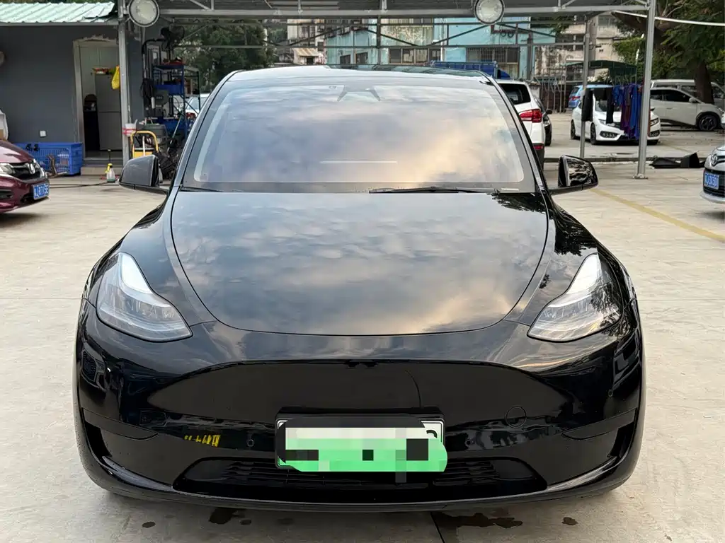 Tesla Model Y — миниатюра 2