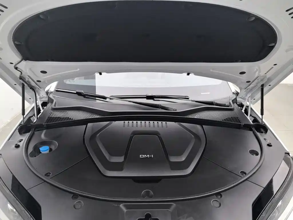 BYD PLUS New Energy — миниатюра 6