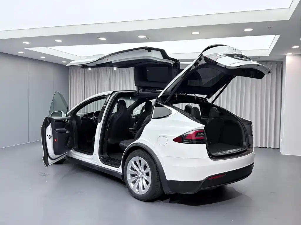 Tesla Model X — миниатюра 25