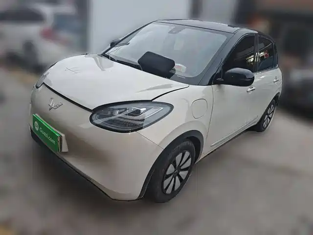 WULING AUTOMOBILE WULING BINGGUO 2023