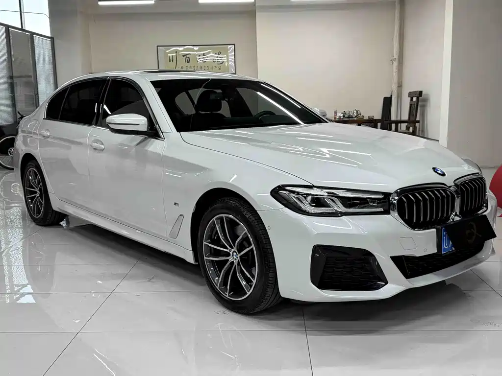 BMW 5 Series — миниатюра 3