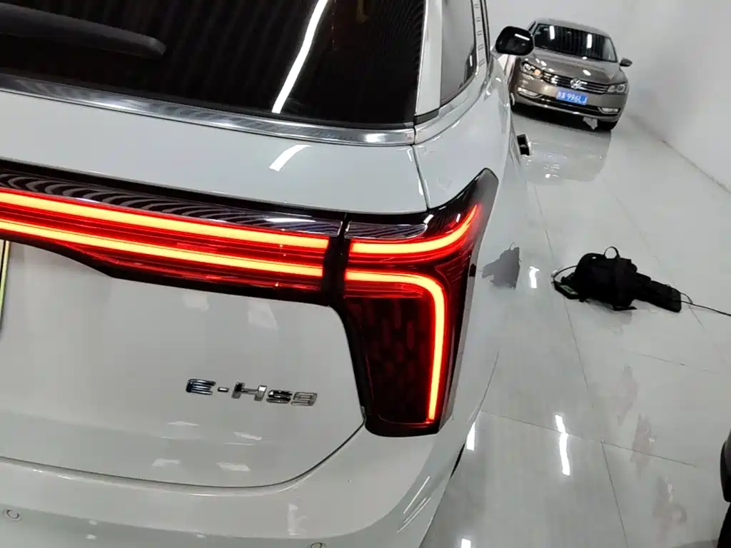 Hongqi Hongqi E-HS9 — миниатюра 7