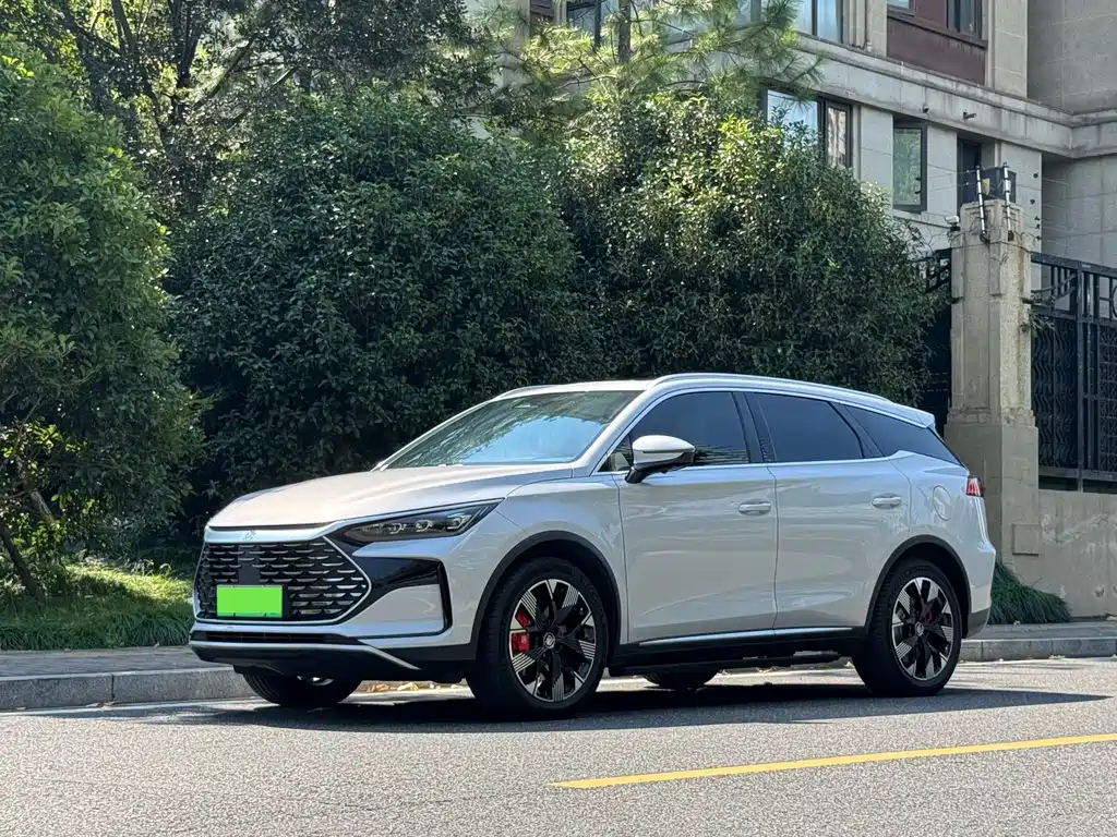 BYD Tang New Energy — миниатюра 2