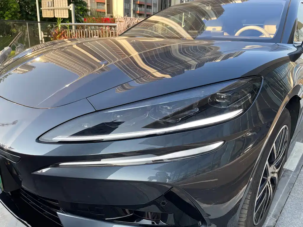 Denza Denza Z9 — миниатюра 5