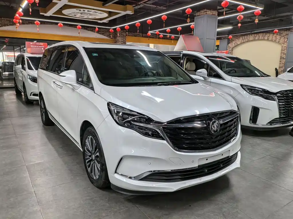 Buick GL8 — миниатюра 4