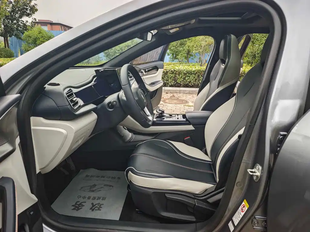 BYD Qin PLUS — миниатюра 5
